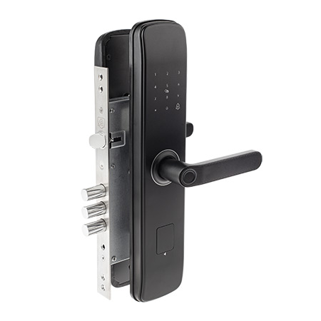 ����� �����������, ����� ����������� Apecs Smart SL-252-60.85/8001-BLM (TTLock, WiFi, FP), ��� "������� �����"