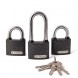 Замки навесные Apecs PD-01-50-Blister (2+1-L Locks+5Keys)